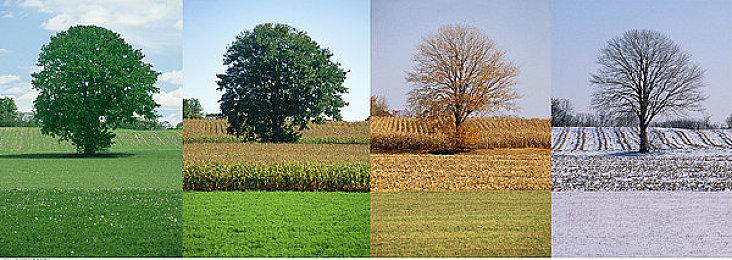 Steam2022新年特卖游戏推荐