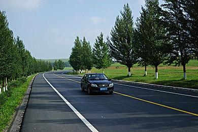 手游《动物森友会：口袋露营广场》宣布11月29日停服 已运营7年时间